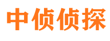 临渭婚外情调查取证